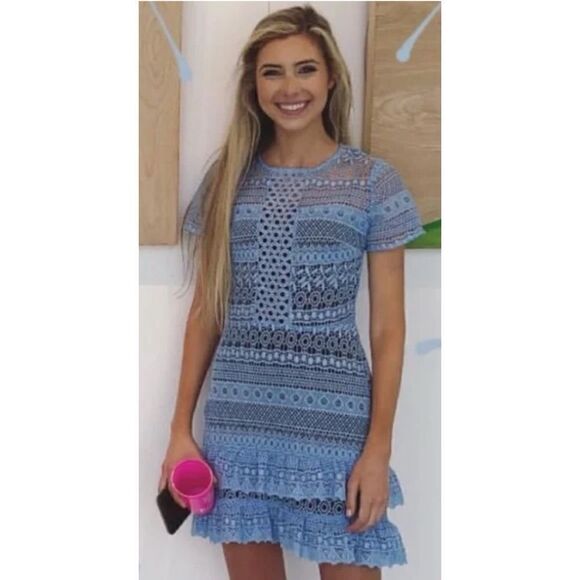Parker Darcy Lace Overlay Dress Powder Blue Size M - Picture 1 of 10